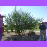 Front Yard.jpg